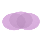 1um 1 Piece Purple Polishing Paper with 127mm diameter