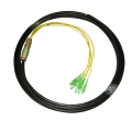 6-Fiber Multimode 62.5/125 FC/SC/ST/LC Waterproof Fiber Pigtail