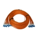 FC-MTRJ 12 Fibers OM2 50/125 Multimode Fiber P...