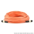 12 Fibers Multimode OM1 12 Strands MTP Trunk Cable 3.0mm LSZH/Riser