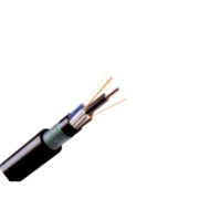 Stranded Loose Tube Non-metallic Strength Member armored Cable GYFTA/Y53