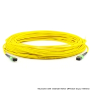 24 Fibers Single-Mode 24 Strands MTP Trunk Fiber Patch Cable 3.0mm LSZH/Riser