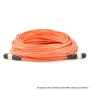144 Fibers Multimode OM1 24 Strands MTP Trunk Cable 3.0mm LSZH/Riser